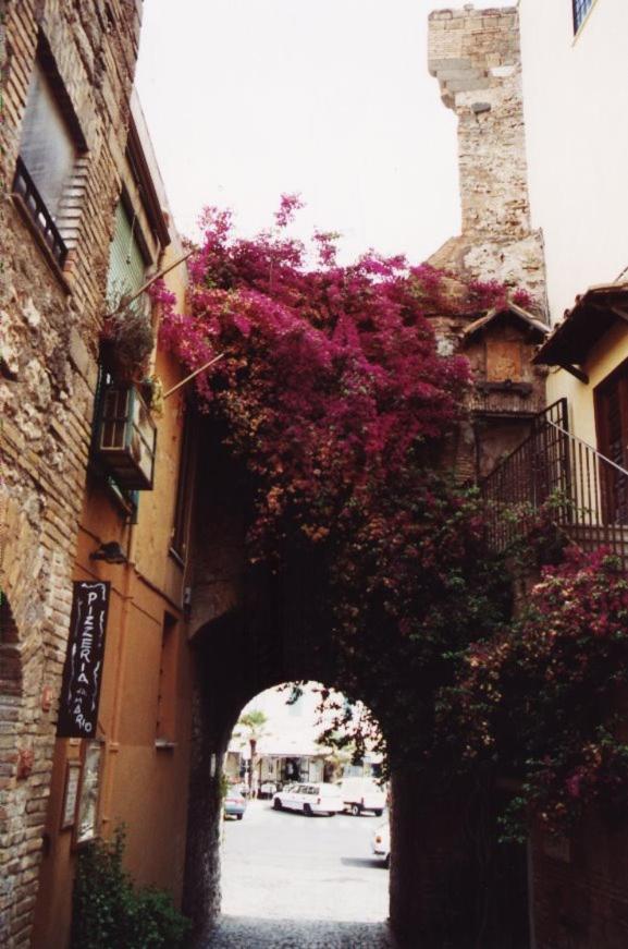 La Casa Degli Artisti 1 Hotel Nettuno Exterior photo